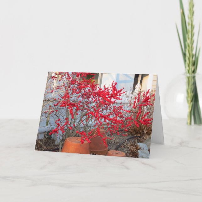 Cartão Red Winter Berries - Martha's Vineyard (Frente)