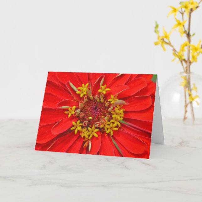 Cartão Red Zinnia Flower Close Art Note Card (Flor vermel (Flor Amarela)