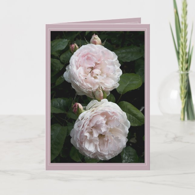 Cartão Redoute Card II (Frente)