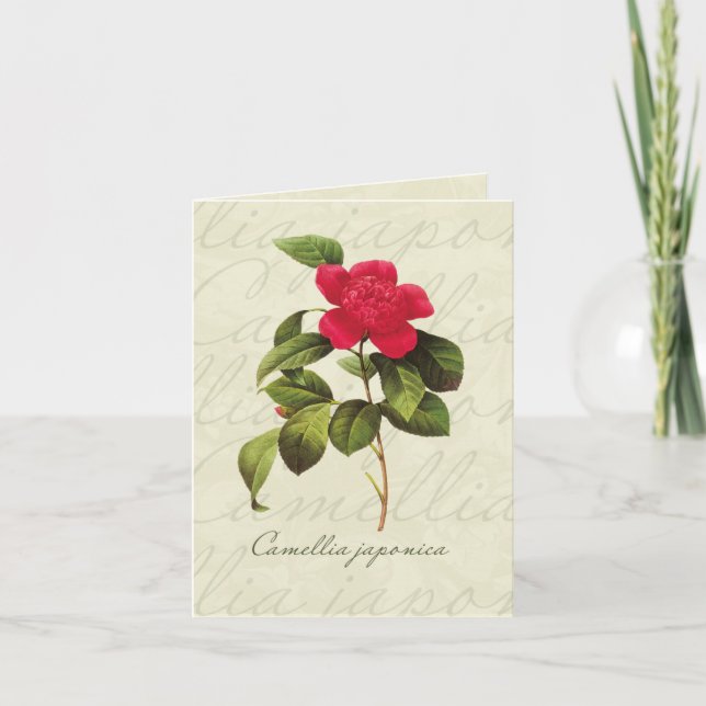 Cartão Redoute Red Camellia Botanical Print Note Cards (Frente)