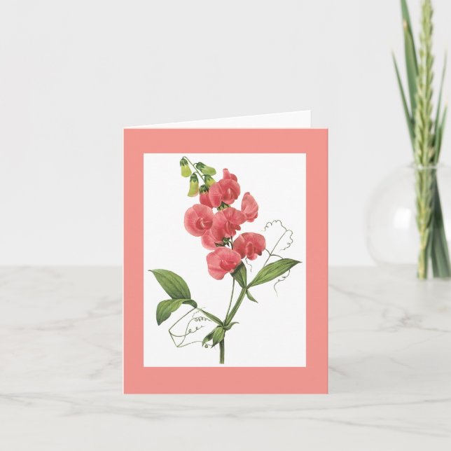 Cartão Redoute Sweet Pea Notecard (Frente)