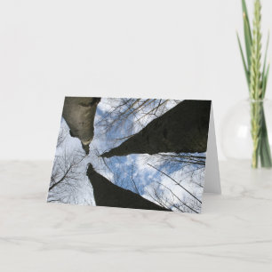 CARTÃO REDREAMING:PROCURAR