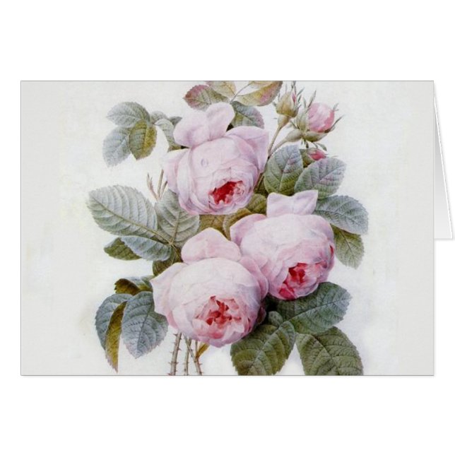 Cartão Reduzir Rosa (Frente Horizontal)