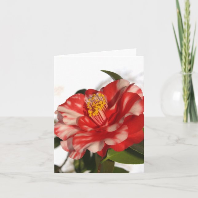 Cartão redwhitecam (Frente)