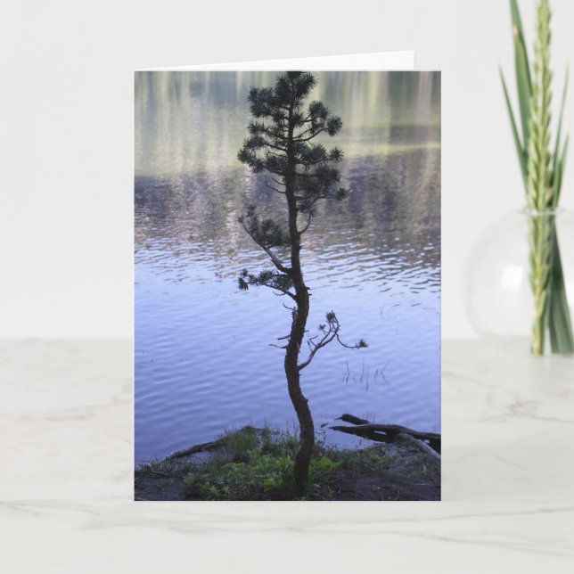 Cartão Reflection on the water (Frente)