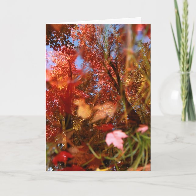 Cartão Reflections (Frente)