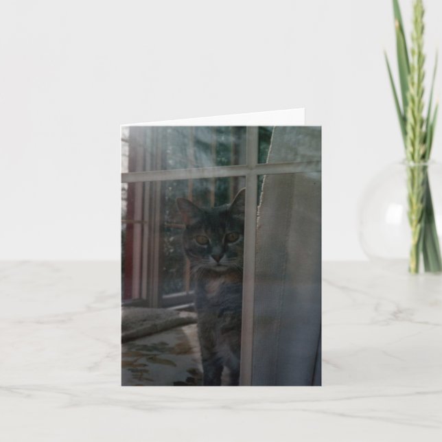 Cartão Reflections Blank Note Card (Frente)