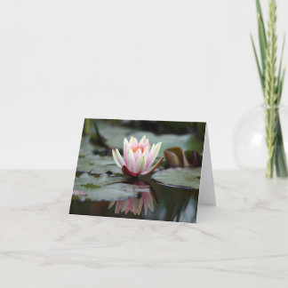 Cartão Reflections_note card