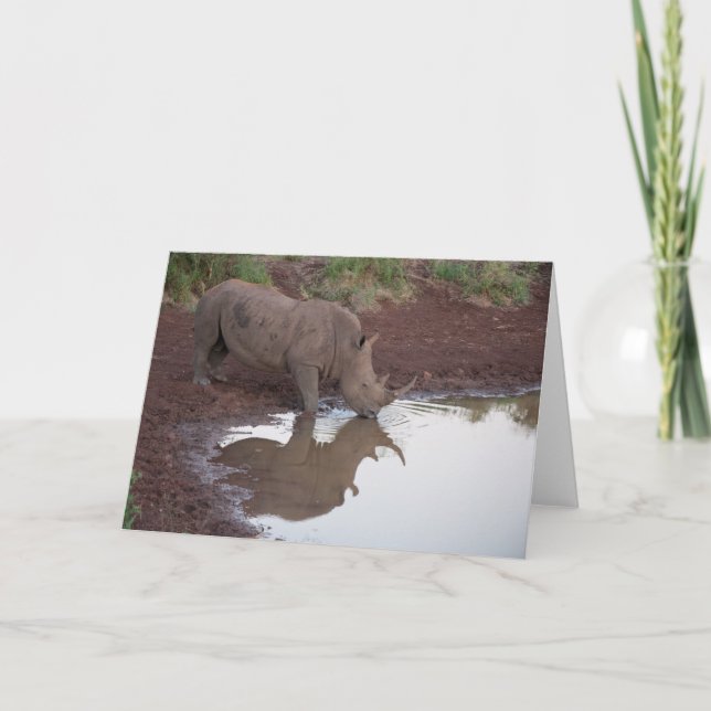 Cartão Reflections: Rhino Postcard (Frente)