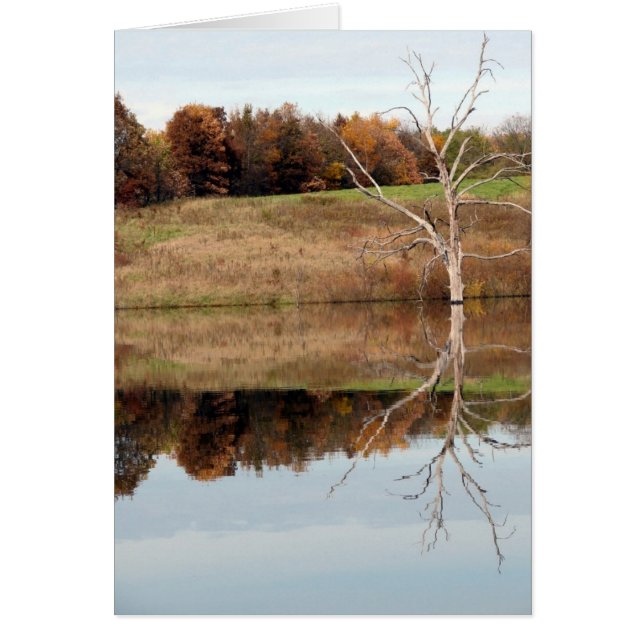 Cartão Refletir (Frente)