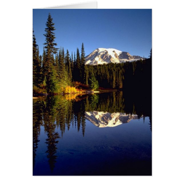 Cartão Reflexão (Frente)