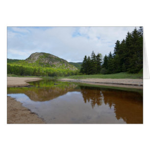Cartão Reflexão da Cabeça de excelente em Sand Beach
