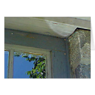 Cartão Reflexão da janela