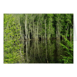 Cartão Reflexão das Árvores na Placa de Vazio de Fotograf