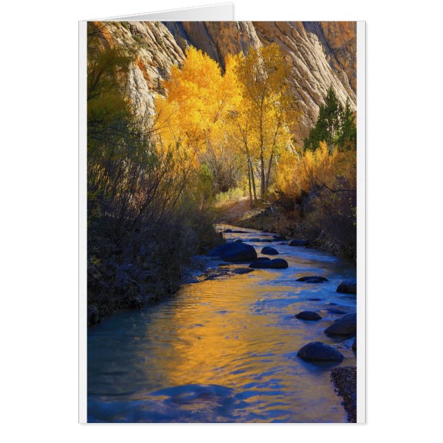 Cartão Reflexão de Escalante (Frente)