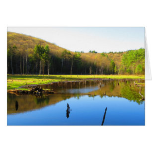 Cartão Reflexão do céu azul