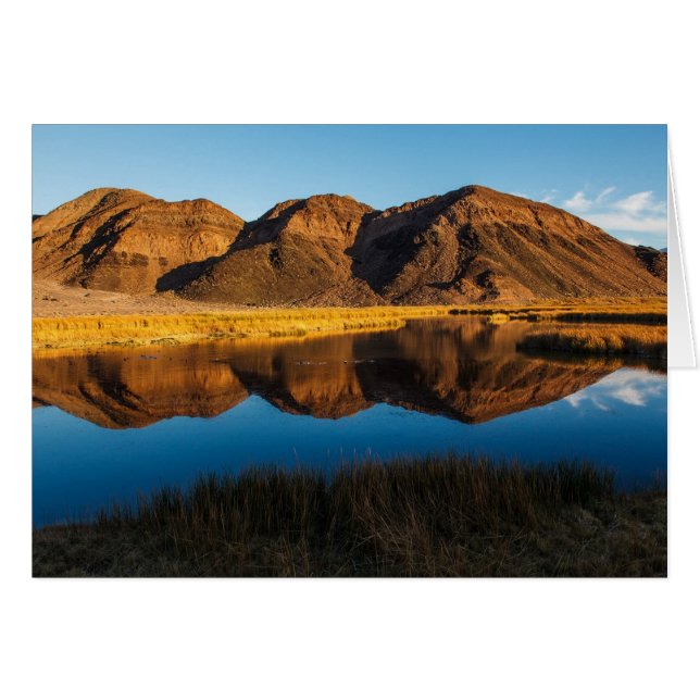 Cartão Reflexão Ibex Colinas (Frente Horizontal)