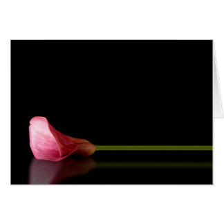 Cartão Reflexão Lily - Calla Rosa