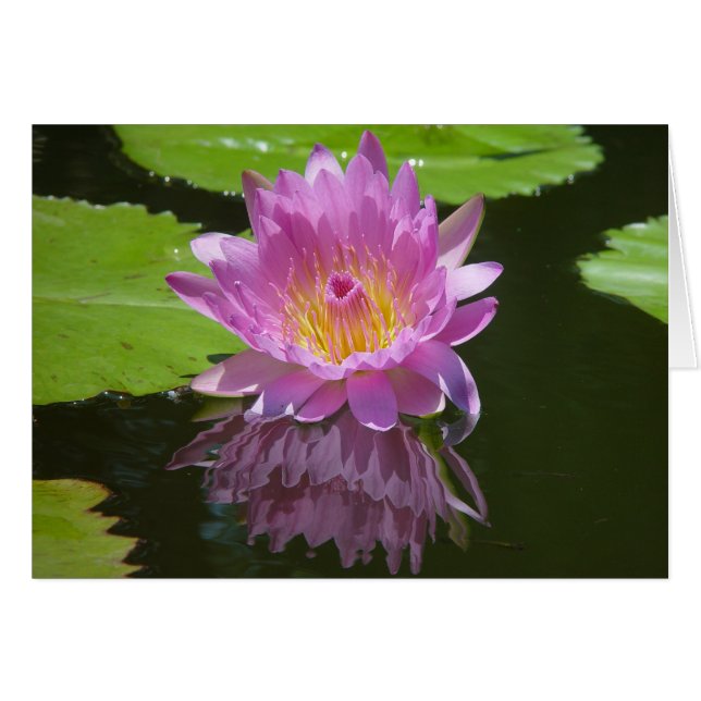 Cartão Reflexão rosa (Frente horizontal)