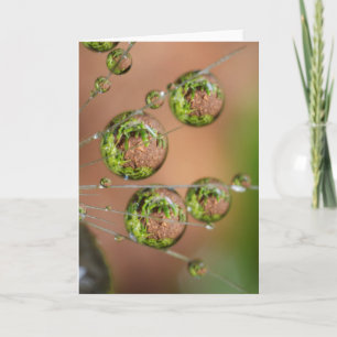 Cartão Reflexo da Gota de Água