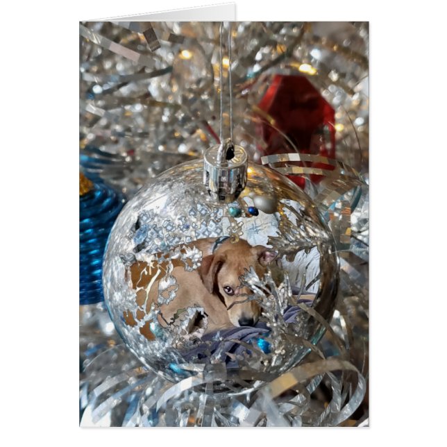 Cartão Reflexo da Massa de Prata (Frente)