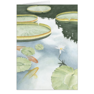 Cartão Reflexo de Koi Pond com Peixes e Lírios