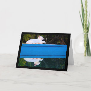 Cartão Reflexo de um Gato Branco