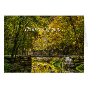 Cartão Reflexões Começando A Pensar Em Você