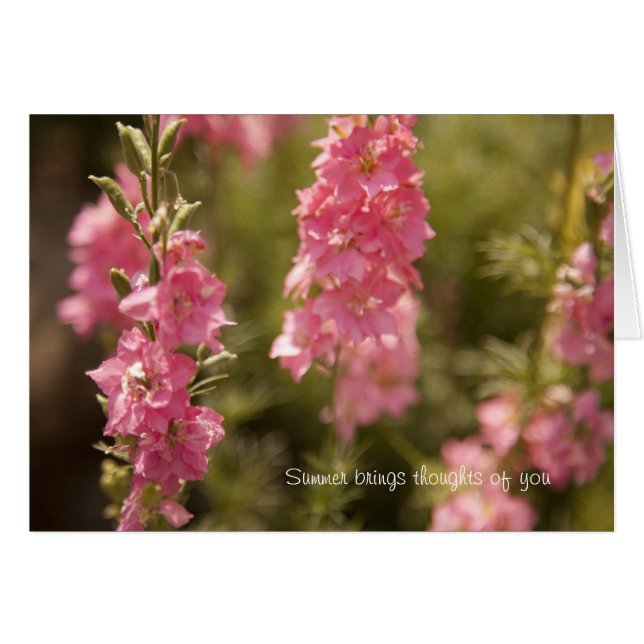 Cartão reflexões de verão (Frente Horizontal)