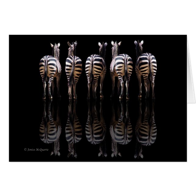 Cartão Reflexões de Zebra (Frente horizontal)