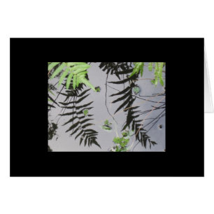 Cartão Reflexões dianteiras