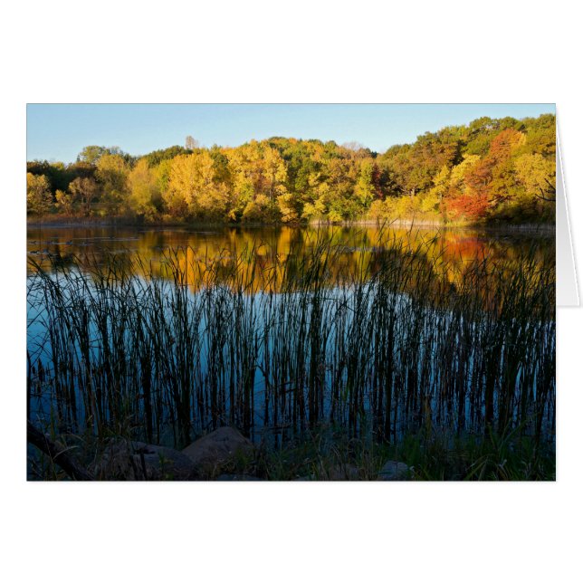 Cartão Reflexões do outono do Marthaler Park (Frente horizontal)