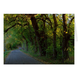 Cartão Reflexões do outono nº 25