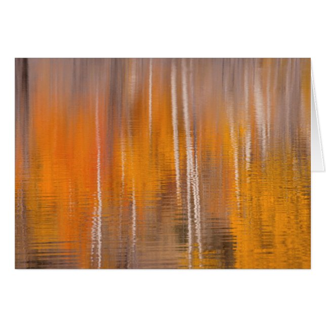 Cartão Reflexões do outono no Beaver Pond| Winthrop, WA (Frente Horizontal)