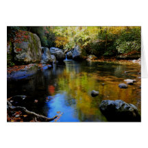 Reflexões na angra grande