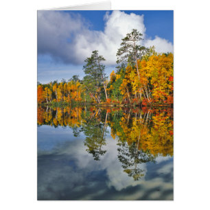 Cartão Reflexos do lago no outono, Maine