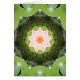 Cartão Refração do Lotus Rosa