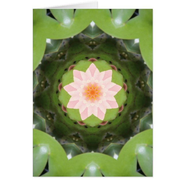 Cartão Refração do Lotus Rosa (Frente)