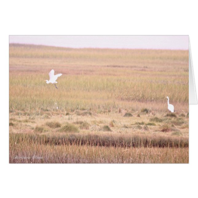 Cartão Refúgio sobre a vida selvagem no rio Parker: Ilha  (Frente Horizontal)
