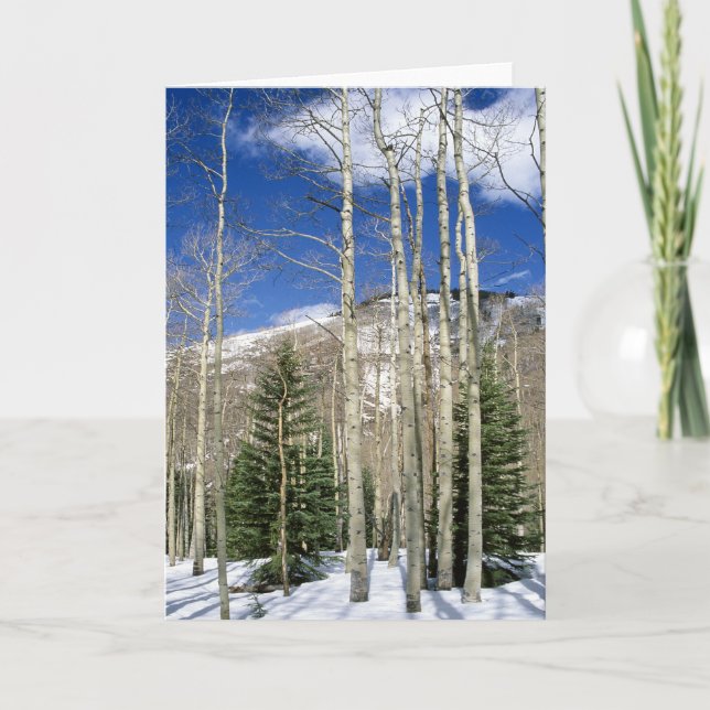 Cartão Região selvagem de Colorado (Frente)