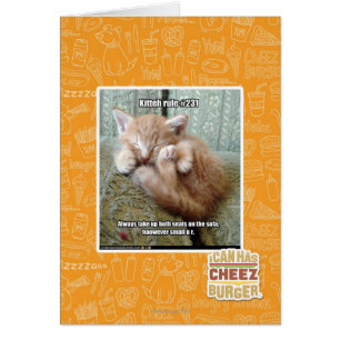 Cartão Regra #231 de Kitteh