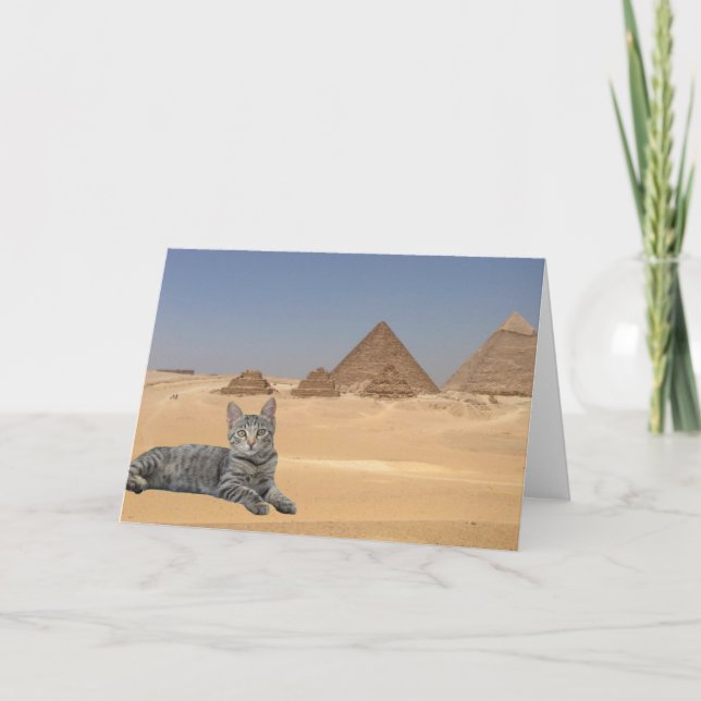 Cartão Regra de Gatos! (Frente)