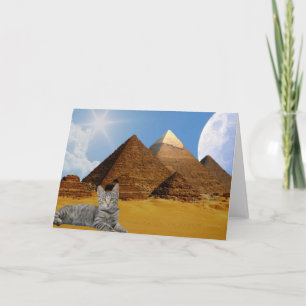 Cartão Regra de Gatos!