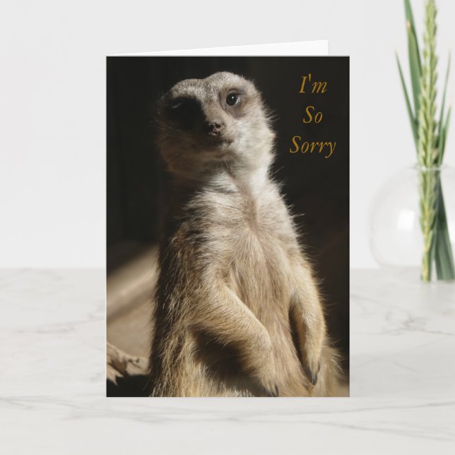 Cartão Regret - I'm SoSorry Apology or Sympathy Cute Card (Frente)