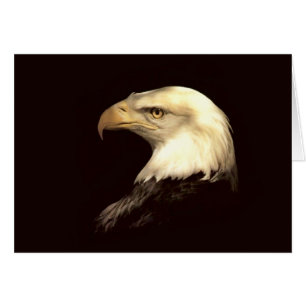 Cartão rei do insecto