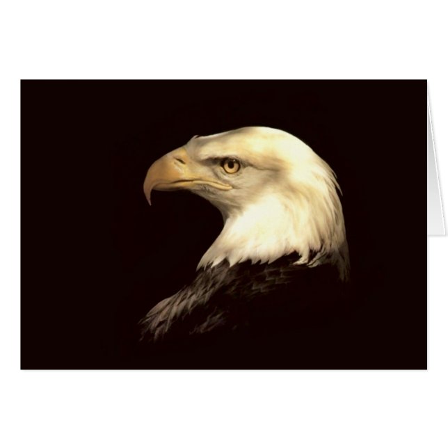 Cartão rei do insecto (Frente Horizontal)