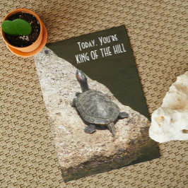 Cartão Rei do Morro Tartaruga na Rocha Natureza Aniversár