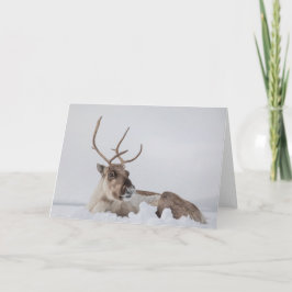 Cartão Reindeer na Foto da Neve