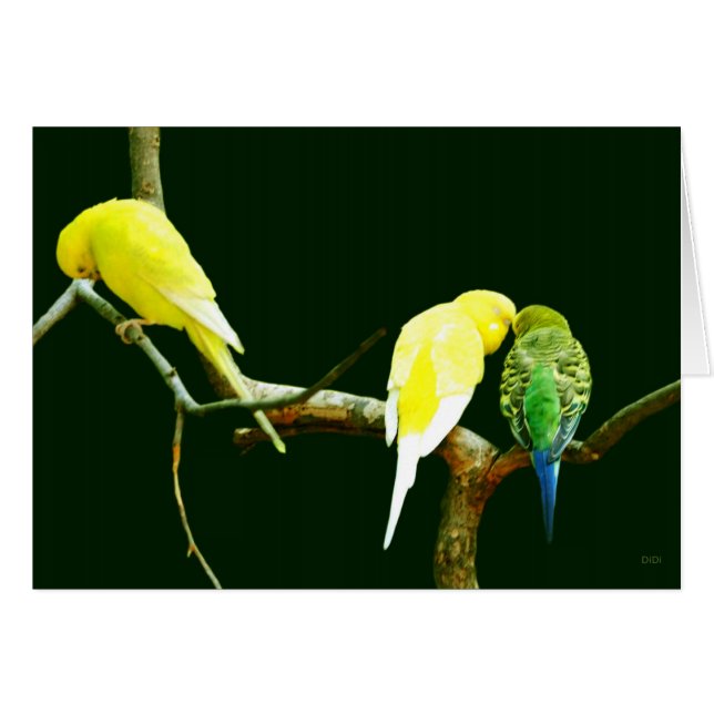 Cartão Rejeção (Frente Horizontal)