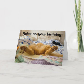 Cartão Relax on your birthday lazy cat greeting card